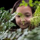 Vaughn Bell: Local Homes: Nature in Your Backyard
