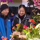Illinois Orchid Society Spring Show & Sale