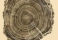 Woodcut, Prints by Bryan Nash Gill