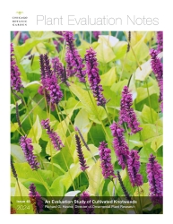 Knockweed Evaluation Notes