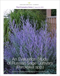 Plant Evaluation Study: Perovskia
