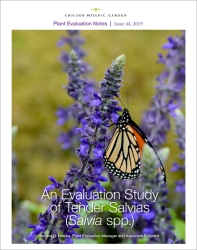 Plant Evaluation Study: Salvias