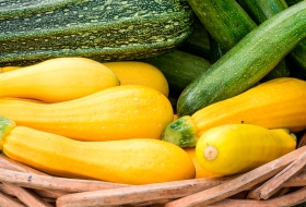 summer-squash