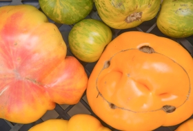 heirloom-tomatoes