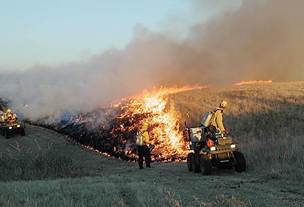 controlled burn controlled burn