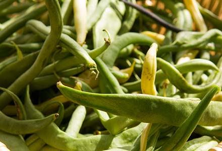 legumes legumes
