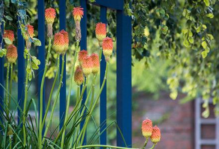 English Walled Garden