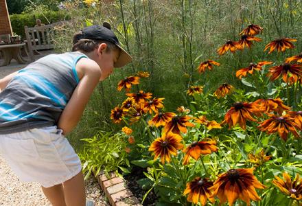 Grunsfeld Children’s Growing Garden