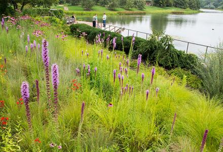 The Singular Pleasure of Reading Outside | Chicago Botanic Garden