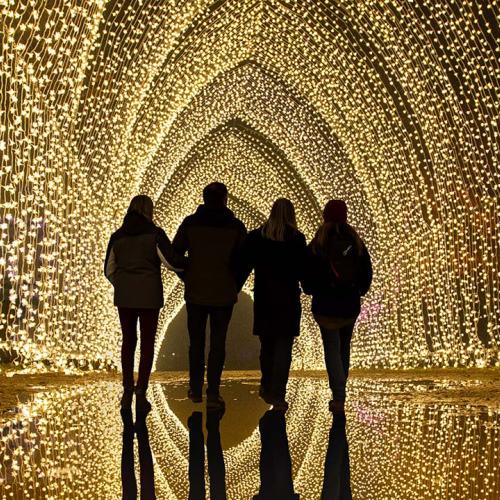 lightscape