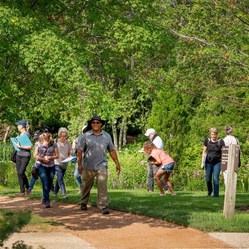 Tree Walk