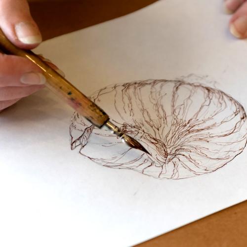 Botanical Arts Certificate Program Chicago Botanic Garden