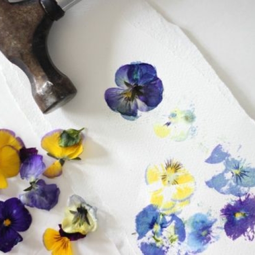 le blanc pressed flower