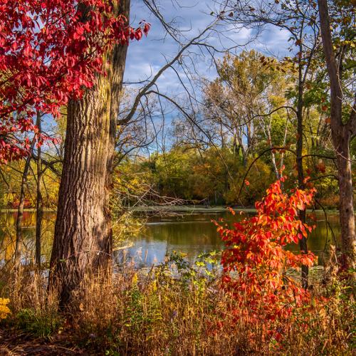 Fall