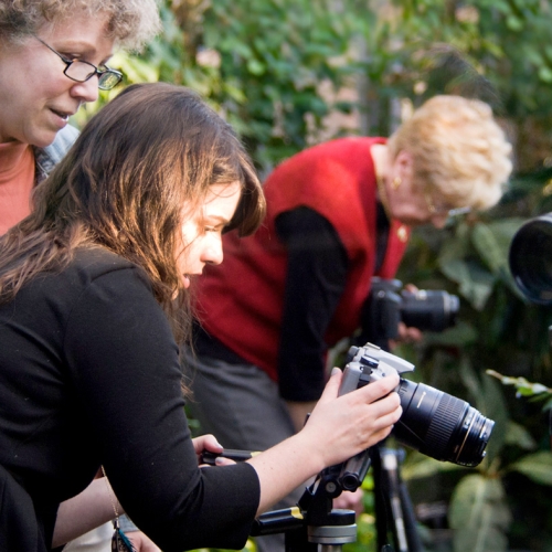 Photography Classes at the Garden