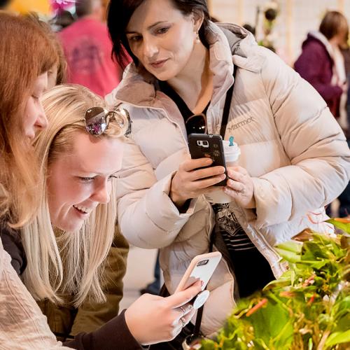Illinois Orchid Society Show & Sale