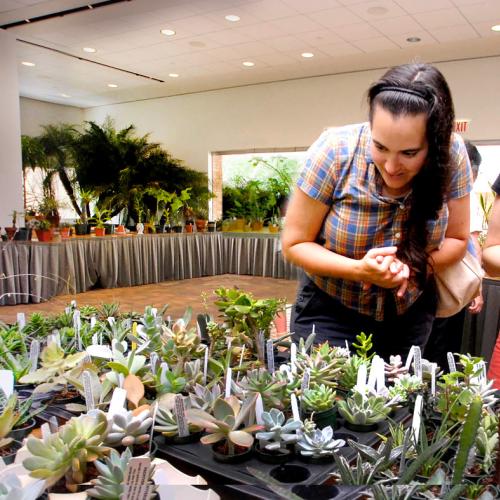 Cactus & Succulent Show