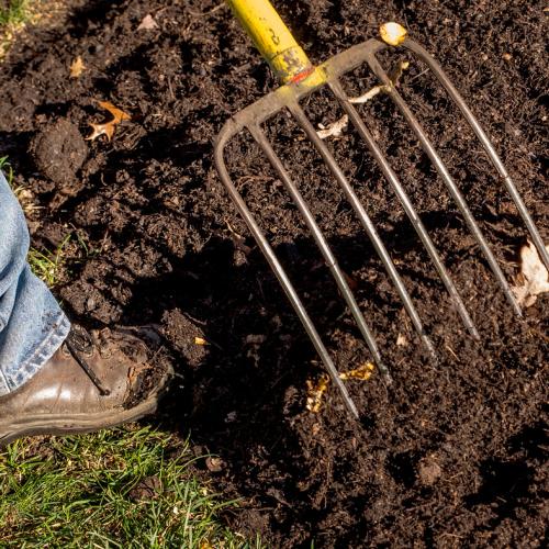 Fall Gardening