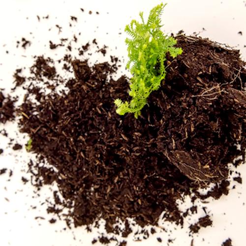 Soil Basics