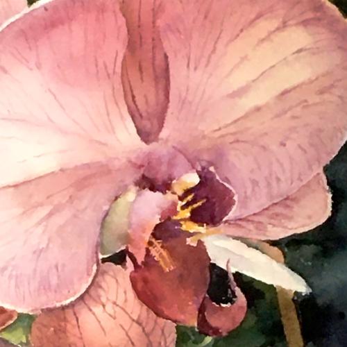 Painting the Stages of Growth – Thomas Trausch