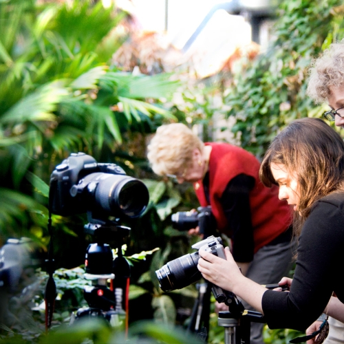Photography Classes at the Garden