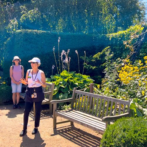 Summer Walking Tours