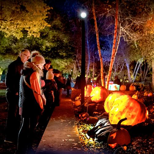 Night of 1,000 Jack-o'-Lanterns – Path