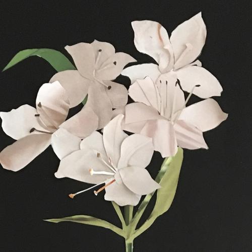 Botanical Arts Certificate Program Chicago Botanic Garden