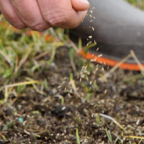 lawn-care2