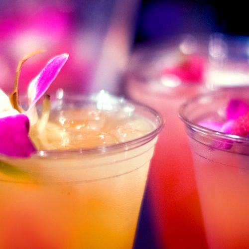 The Orchid Show of Wonders After Hours