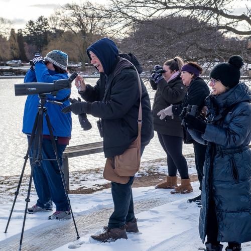 Adult Ed Nature Studies Winter Bird Walk