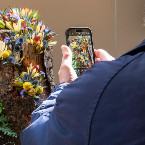 Adult Ed Photography iPhone