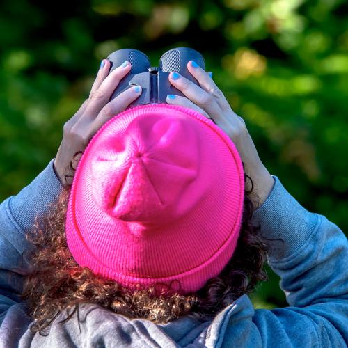Adult Ed Nature Studies Birding