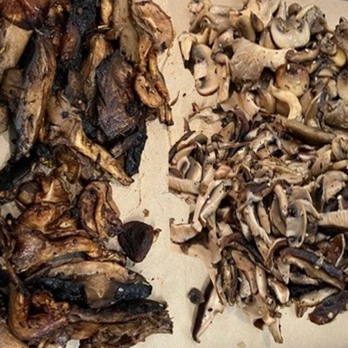 adult ed cooking mushrooms