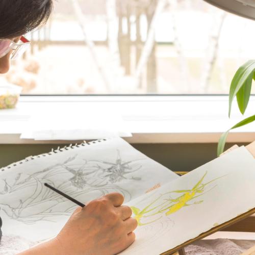 Adult Ed Botanical Arts Botanical Drawing