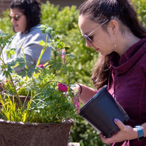 Adult Ed Horticulture Spring Container
