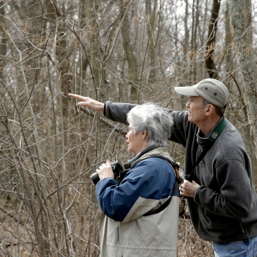 Adult Ed Nature Studies Birding