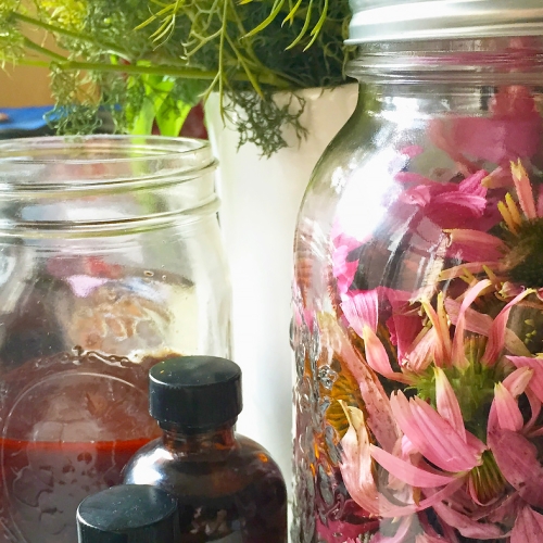 Adult Ed Wellness Herbs Cocktails