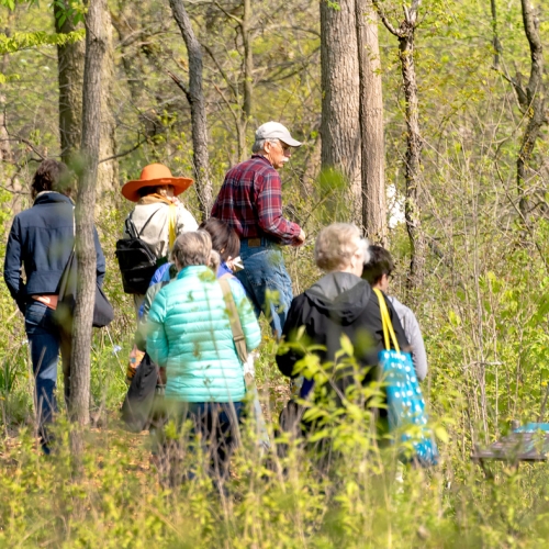 Bird Walk Fall Migration – Birding Class