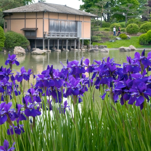 Photographing the Japanese Garden – Photography Class