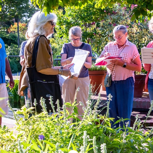 Adult Ed Horticulture Herbaceous Perennials