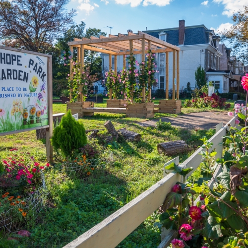 Adult Ed Horticulture Transforming Lives Through Horticulture