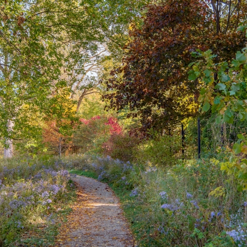 Seasonal Tree Walk – Nature and Birding