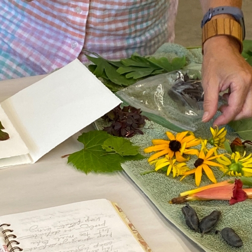 Adult Ed Botanical Arts Leaf Printing