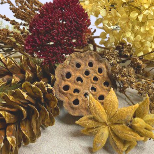 Adult Ed Botanical Arts Decor