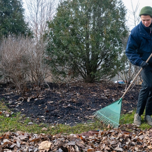 Adult Ed Horticulture Fall Garden