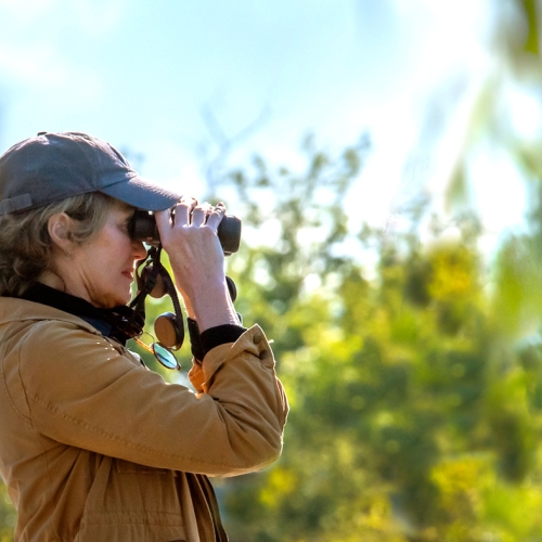 September – Get Inspired by Nature