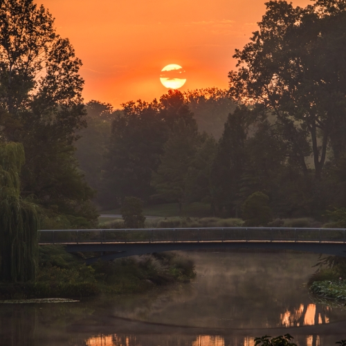 sunrise
