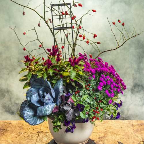 flower arrangement october