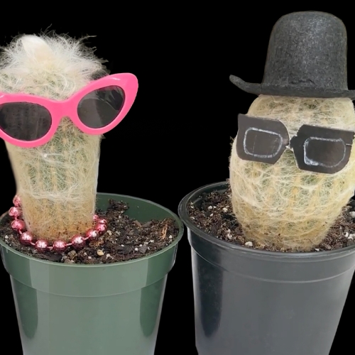 Plants in Costume